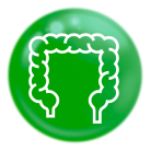 Giàu chất xơ hoà tan (FOS) giúp hệ tiêu hoá khoẻ mạnh (2)