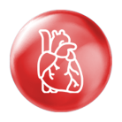 Giàu chất béo tốt cho tim mạch (MUFA, PUFA, DHA)