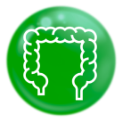 Giàu chất xơ hoà tan (FOS + Resistant Dextrin)
                                giúp hệ tiêu hóa khỏe mạnh (2)